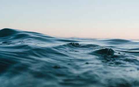 Natural coastline and sea